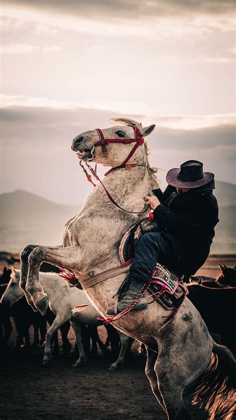 white booty riding|White booty riding